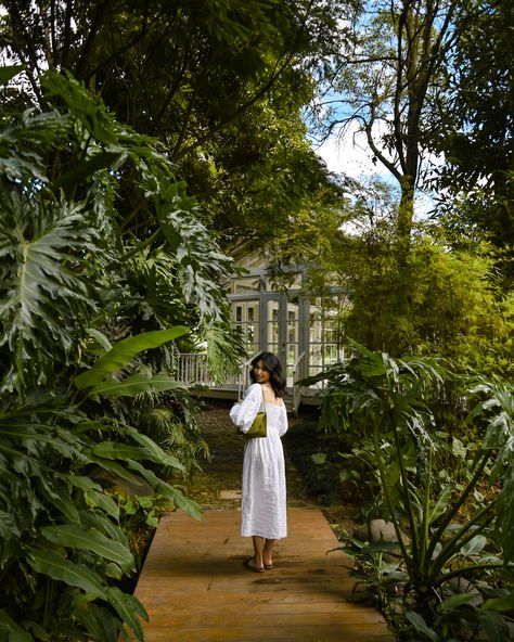 Daily Sleeper, White Linen Dress, Staple Dress, White Linen Dresses, Dresses On Sale, Fashion Board, 2023 Fashion, Vacation Dresses, Linen Dress