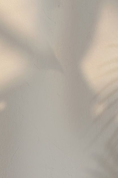 Cream Gradient Background, Blurred Background Aesthetic, Shadow Background Aesthetic, Blur Background Aesthetic, Leaves Shadow, Background Shadow, Light Wood Background, Shadow Background, Yoga Background
