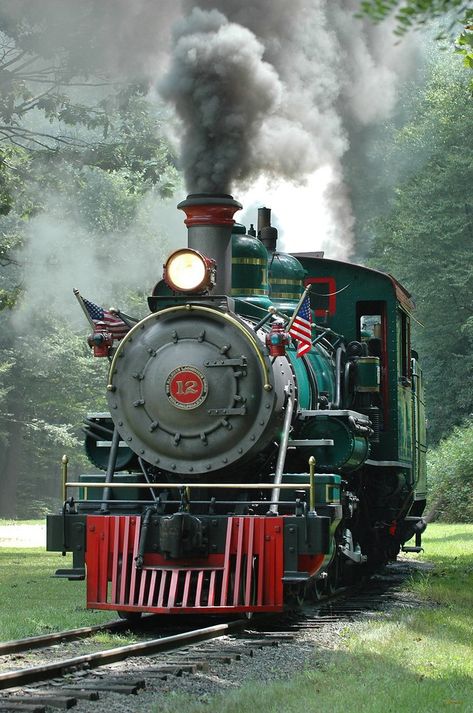 You'll Want To Hop On Board At Tweetsie Railroad Zug, Steam Trains Photography, Steam Engine Trains, Scenic Railroads, Choo Choo Train, Railroad Photography, Train Art, Train Photography, Old Train