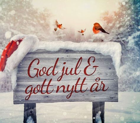 Natal, God Jul Text, Swedish Christmas Traditions, Sweden Christmas, Dream Pictures, Swedish Christmas, God Jul, New Year Celebration, Wedding Places