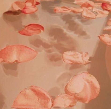 Peachy Aesthetic Pfp, Bath With Flowers, Aesthetic Peach, Peachy Aesthetic, Light Peach Color, Peach Wallpaper, Peach Aesthetic, Light Salmon, Aesthetic Light