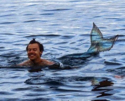 The Little Mermaid, Roman Empire, Harry Styles Mermaid, Mermaid Meme, Blair Waldorf Quotes, Sunset Friends, Little Mermaid, Reaction Pictures, Heavy Metal