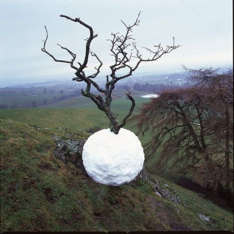 Hawthorn Tree Snowball, 2001, two C prints, 33 x 33 in.  each © Andy Goldsworthy. Andy Goldworthy, Rivers And Tides, Andy Goldsworthy Art, Hawthorn Tree, Ephemeral Art, Andy Goldsworthy, Sculpture Projects, Artistic Installation, Earth Art