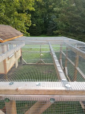 Hi everyone!     Reading here, I see we all have predator issues, which vary greatly depending on... Reban Ayam, Chicken Barn, Portable Chicken Coop, Chicken Coup, Chicken Coop Run, Backyard Chicken Farming, Homestead Chickens, Chicken Garden, Diy Chicken