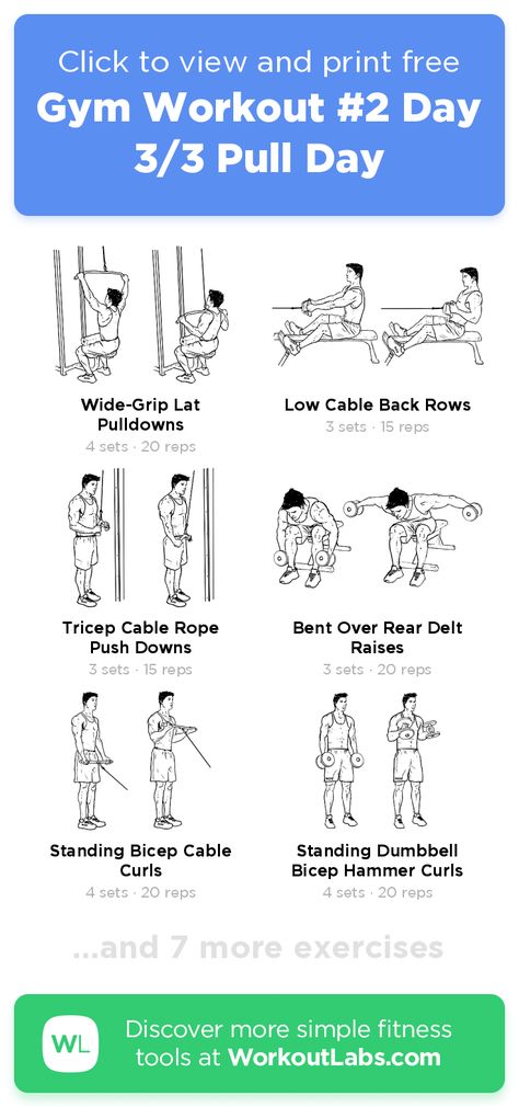 Pull Gym Exercises, Circuit Gym Workout, Upper Body Pull Workout At Home, Pull Day Workout Gym Machines, Pull Day Machines, Pull Day Cable Workout, Push Day Workout Machine, Home Gym Back Workout, Upper Body Machine Workout Gym