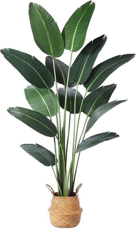 Ferrgoal Artificial Bird of Paradise Plants 6 Ft Fake Tropical Palm Tree with 13 Trunks in Pot and Woven Seagrass Belly Basket Perfect Faux Plant for Home Indoor Outdoor Office Modern Decor Green 1Pc Large Fake Plants, Potted Palm Trees, Tall Fake Plants, Areca Palm Plant, Fake Palm Tree, Birds Of Paradise Plant, Bird Of Paradise Plant, Potted Palms, Paradise Plant