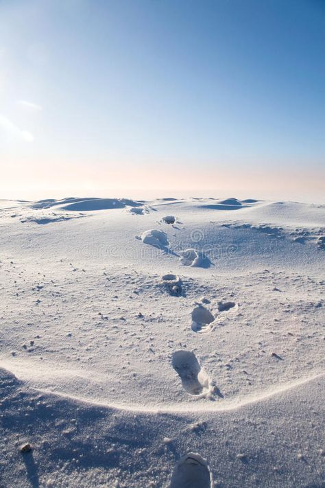 Nature, Snow Footprints, Snowy Plains, Wilderness Aesthetic, Footprints In The Snow, Miniature City, Snow Texture, Snow Wolf, Rock Aesthetic