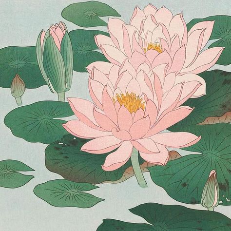 Water Lily Drawing, Water Lily Tattoos, Water Lilies Art, Lilies Drawing, Japanese Art Print, Japanese Water, Ohara Koson, Water Lilly, Lily Tattoo