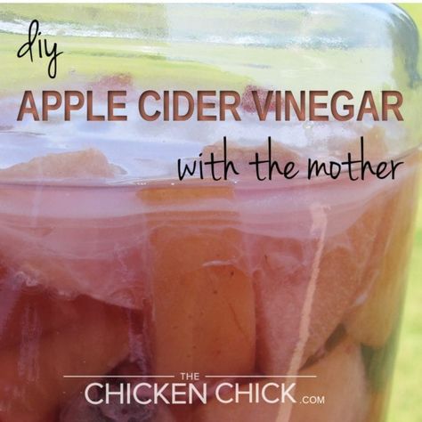 Amigurumi Patterns, Diy Apple Cider Vinegar, Apple Cider Vinegar Mother, Cider Pork Chops, Apple Cider Pork Chops, Apple Cider Pork, Apple Cider Vinegar Health, Slow Cooker Apple Cider, Diy Apple Cider