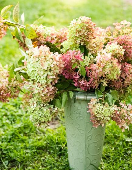 A simple bouquet of fresh or dried hydrangeas makes a beautiful statement. More ideas for decorating with hydrangeas: http://www.midwestliving.com/homes/seasonal-decorating/fall-decorating-with-hydrangeas/?page=7 Decorating With Hydrangeas, Dried Hydrangeas Decor Ideas, Hydrangea Flower Arrangements, Simple Bouquet, Large Hydrangea, White Spray Roses, Fall Hydrangea, Raindrops And Roses, Virtual Flowers