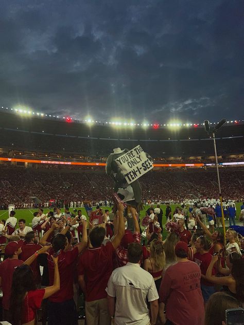 Alabama Astetic, Alabama College Aesthetic, Alabama University Aesthetic, University Of Alabama Aesthetic, Plot Board, Alabama Aesthetic, Alabama Football Game, Bama Gameday, Bama Rush