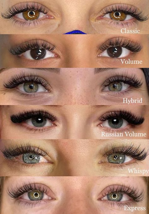 Types of Lash Extensions Types Of Lash Extensions, Eye Lash Style, Types Of Eyelash Extensions, Lash Extentions, Salon Pictures, Lash Extensions Styles, Eyelash Extensions Styles, Natural Eyelash Extensions, Types Of Eyes