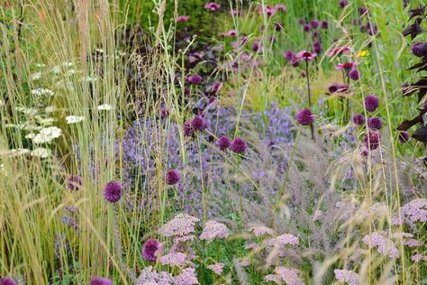 Small Wildlife Garden Ideas, Wildlife Garden Ideas, Small Natural Garden Ideas, Natural Garden Design, Wildlife Garden Design, Scandi Garden, Small Garden Inspiration, Garden Wildlife, Habitat Garden