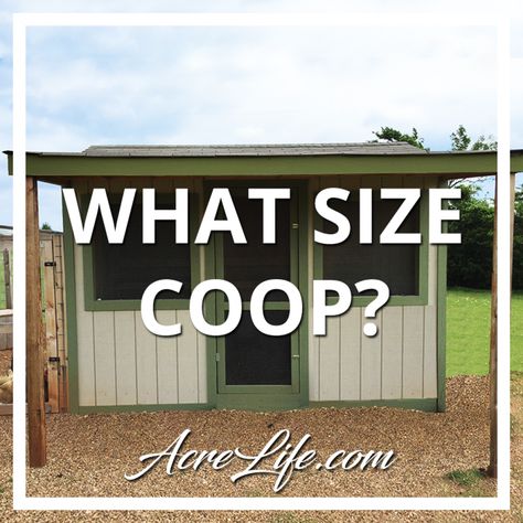 What Size Chicken Coop Do I Need? Easy to Follow Checklist - Acre Life Diy Chicken Coop 6 Chickens, Chicken Coop Plans For 40 Chickens, Chicken Coop Plans With Storage, Chicken Coop For 6 Hens Diy, Simple Walk In Chicken Coop, Chicken Coops For 20 Chickens, 50 Chicken Coop, Chicken Coop For 100 Chickens, Free Diy Chicken Coop Plans Easy