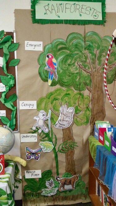 My class rainforest  mural. Shows the 4 layers and examples of animals found in each layer. Montessori, 4 Layers Of The Rainforest, Layers Of Rainforest Craft, Rainforest Layers Project, Rainforest Crafts For Preschool, Jungle Unit Study, Rainforest Layers Craft, Biome Project Ideas Rainforest, Layers Of The Rainforest Activities