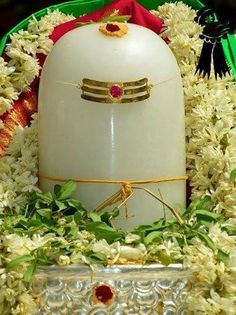 Shiva Stotram, Lord Shiva Names, ஓம் நமசிவாய, Rudra Shiva, भगवान शिव, Shiva Shankara, Shiva Shankar, Mahakal Shiva, Lord Mahadev