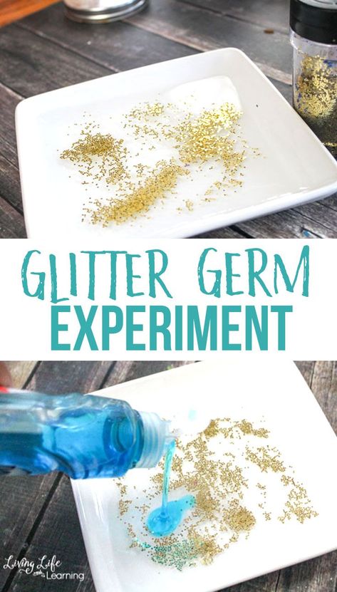 Show your kids how using soap works to get rid of germs in this glitter germ science experiment. You can also use it to show how thorough they need to be while washing their hands. Germs are everywhere, show your kids how important soap is to get rid of them with this hands-on germ activity. #homeschoolscience #germs #LivingLifenandLearning Sneezing Activities For Preschool, Glitter Germs Activity, Germ Activities For Kindergarten, Preschool Handwashing Activities, Germs Anchor Chart, Hygiene Sensory Activities, Germs Activity Preschool, Preschool Hygiene Crafts, Glitter Germ Experiment