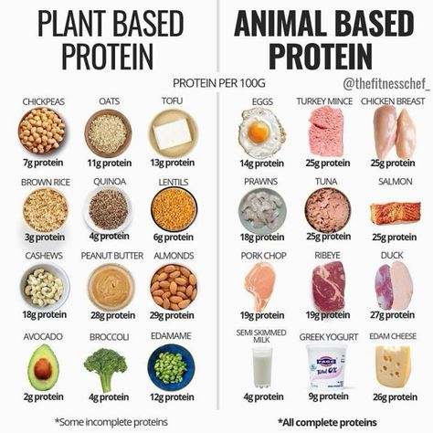 Protein Foods List, Resep Smoothie, Contaminated Food, Healthy High Protein Meals, Animal Based, Resep Diet, Makanan Diet, Protein Rich Foods, Food Charts