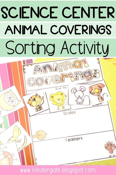 Amigurumi Patterns, Sorting Activities Preschool, Kindergarten Animals, Animal Coverings, Science Kindergarten, Pre-k Science, Preschool Activities At Home, February Classroom, Animal Lessons