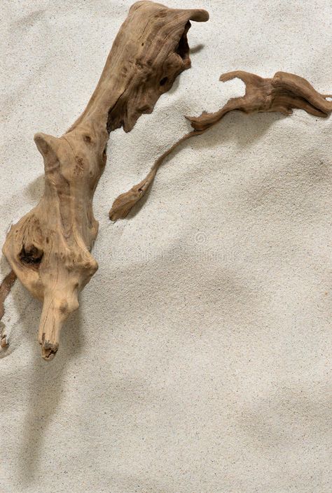 Driftwood and Sand Background. Driftwood partially buried in the sand , #SPONSORED, #Background, #Sand, #Driftwood, #sand, #buried #ad 60s Bedding, Driftwood Photography, Sand Images, Buried In Sand, Sand Aesthetic, Thailand Restaurant, Sand Photography, Poster Easy, Sand Floor