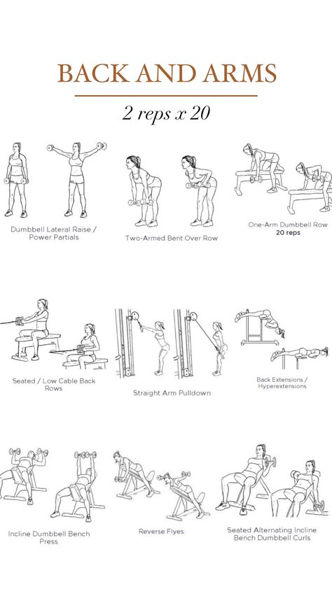 Weekly Gym Workouts, Planning Sport, Beginners Gym Workout Plan, Gym Workout Plan, Workout Gym Routine, Workout Program Gym, Gym Plan, Gym Workout Plan For Women, Work Out Routines Gym