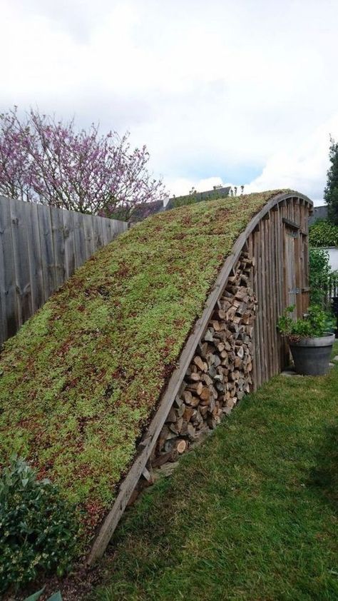 Grass Shed Roof, Exterior Sauna Design, Sloping Garden Design, Build A Root Cellar, Grass Roof, Root Cellar, Sauna Design, Wood Store, Storage Idea