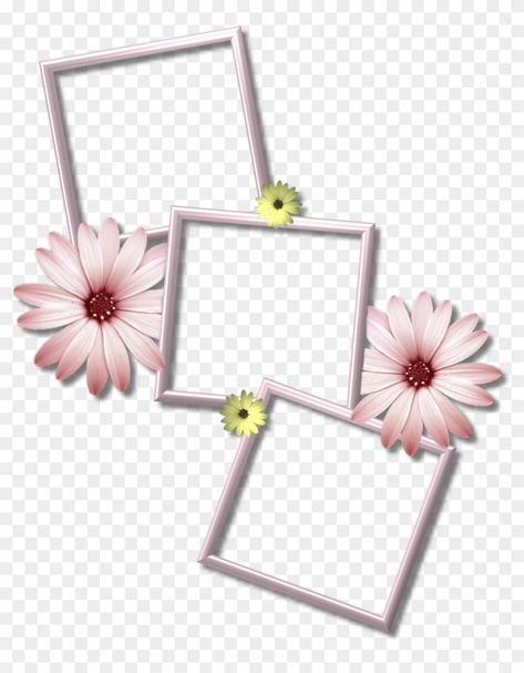 Multiple Photo Frames, Png Collage, Collage Photo Frame Design, Edit Photo Frame, Romantic Frame, Wedding Png, Cute Backgrounds For Iphone, Frame Flower, Frames Png