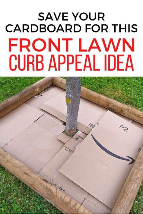 Diy Tree Base, Front Yard Tree Landscaping, Easy Front Yard Landscaping, Landscaping Decor, Mailbox Landscaping, Curb Appeal Landscape, Trees For Front Yard, Diy Curb Appeal, Yard Ideas Cheap