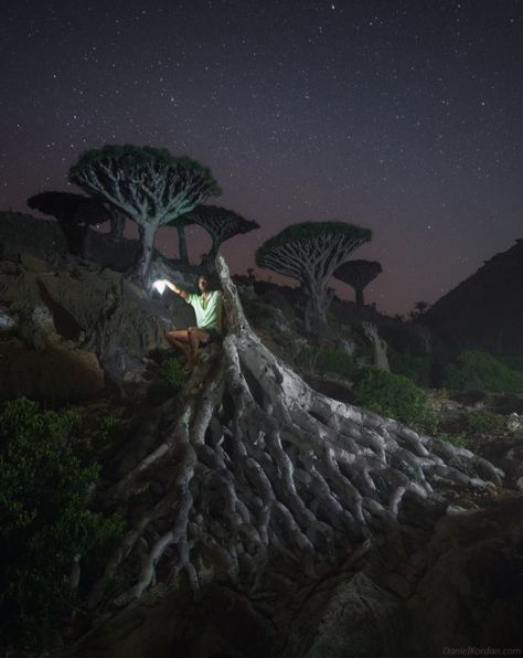 Gorgeous Photos of Socotra, The 'Most Alien-Looking Place on Earth' | PetaPixel Socotra, Unrealistic Places, Unreal Places On Earth, Unreal Places, Socotra Island, Dragon Blood Tree, Landscape Images, What A Beautiful World, Arabian Sea