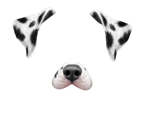 Dalmatian filter transparent overlay Face Filter Png, Kawaii Overlay, Overlay Filter, Filter Overlay, Snapchat Dog Filter, Cute Overlays, Tumblr Png, Dog Filter, About Snapchat