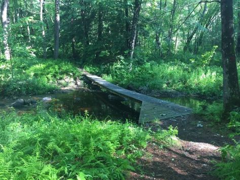 Long Pond In Massachusetts Is A Beautiful Natural Place To Hike Fish, Hiking, Natural Place, Beautiful Places Nature, Garden Bridge, Massachusetts, Outdoor Structures, Lake, Natural Landmarks