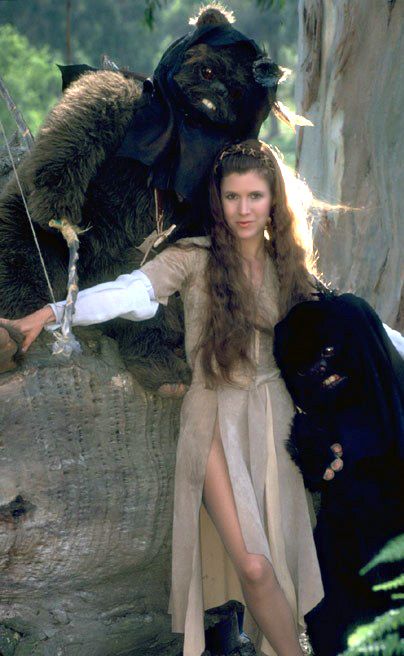 Favorite of the Star Wars Trilogy = Return of the Jedi.  Who didn't want to be Princess Leia?! Carrie Fisher Princess Leia, Carrie Frances Fisher, Leia Star Wars, The Blues Brothers, Star Wars Princess Leia, Dark Vador, Star Wars Princess, Star Wars Love, Septième Art