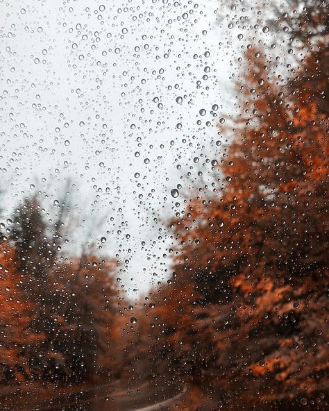 Happy Friday! Nothing better than a gloomy fall day cozy at home 🍂🖤 Nature, Gloomy Fall, Palette Autumn, Rain And Thunder Sounds, Cozy At Home, I Love Rain, Rain Sounds, Rain Wallpapers, Autumn Rain