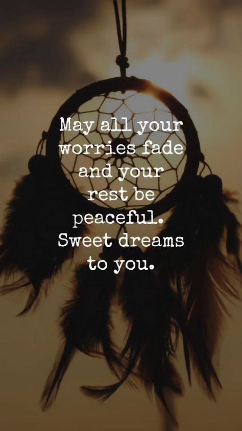 Good Night Meme, My Dreams Quotes, Funny Good Night Images, Good Night For Him, Sweet Dream Quotes, Funny Good Night Quotes, Be Peaceful, Best Night Light, Good Evening Messages