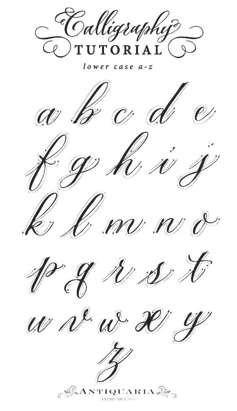 The Cursive Alphabet Is Shown In Black Ink And Has An Ornate Script  image and visual related images Different Cursive Styles, The In Cursive, How To Write In Cursive, S In Cursive, Fonts Alphabet Cursive, I Cursive, F Cursive, Cursive Alphabet Handwriting, Cursive Z