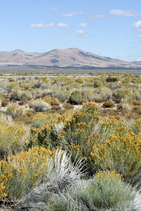 Nevada Desert Scenic. A scenic view of the U.S. state of Nevada with desert scru #Sponsored , #PAID, #PAID, #Desert, #scenic, #desert, #Scenic Nature, Desert Tattoo, Utah Landscape, Horse Story, Nevada Desert, Desert Photography, Places In California, Sea To Shining Sea, Utah Travel