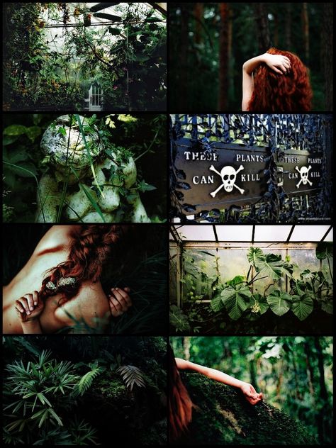 Poison Ivy || Batman || DC Batman, Ivy, Poison Ivy Aesthetic, Ivy Aesthetic, Poison Ivy Batman, Batman Dc, Poison Ivy, Aesthetic Icon, Green