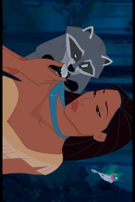 Tela, Pocahontas And Kocoum, Pocahontas And Meeko, Pocahontas Aesthetic, Meeko Pocahontas, Girlies Aesthetic, Movies Family, Pocahontas Disney, Wallpapers Ideas