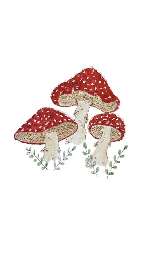 Red mushrooms By @foxinthepaint 🍄🍃 Mushroom Drawing Wallpaper, Cute Drawings Mushroom, Mushroom Drawing Aesthetic, Mushroom Art Cute, Drawing Aesthetic Wallpaper, Wallpaper Mushroom, Mushroom Background, Red Mushrooms, Mushroom Paint