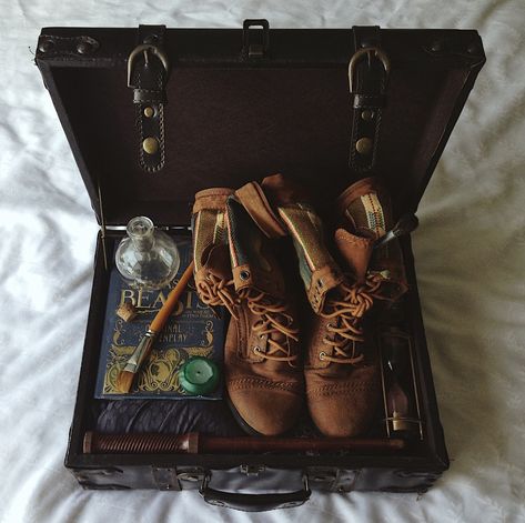 Newtcore Aesthetic, 1920s Adventurer Aesthetic, Magic Adventure Aesthetic, Hogwarts Trunk Aesthetic, Dragonologist Aesthetic, Magizoologist Aesthetic, Adventuring Aesthetic, Trunk Aesthetic, Vintage Explorer Aesthetic