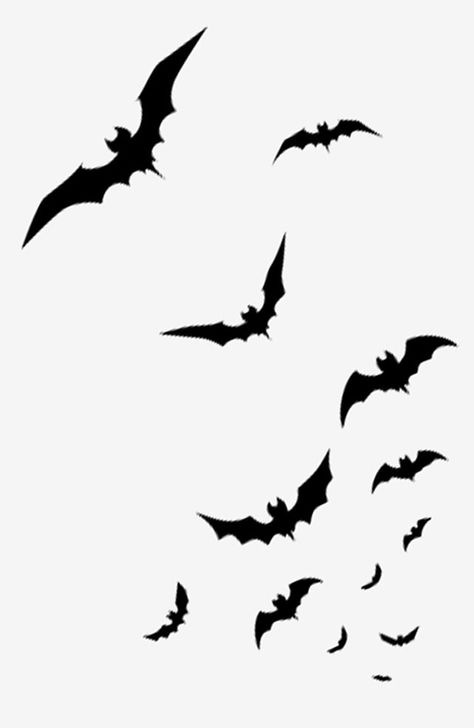 Halloween Bats Drawing, Bat Silouhette, Halloween Png Images Free, Halloween Overlays Png, Bat Silhouette Templates, Haunting Drawings, How To Draw Bats, Bat Silhouette Tattoo, Bat Sillouhette