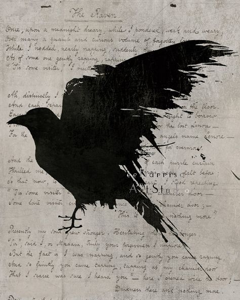 Raven Aesthetic Bird, Black Bird Aesthetic, Black Bird Drawing, Raven Poem, Raven Aesthetic, Crow Watercolor, Gotik Tattoo, The Raven Poem, Rabe Tattoo