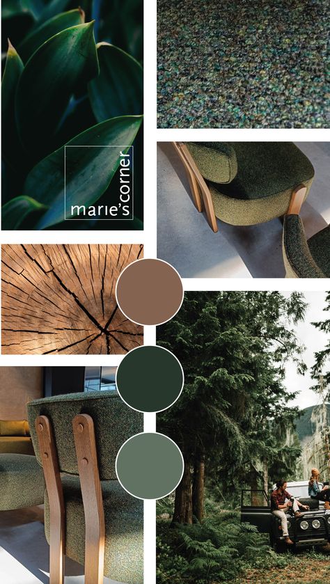 Mood Board For Landscape Design, Greenery Restaurant Design, Woodland Interior Design, Landscape Mood Board, Sustainable Moodboard, Mood Board Nature, Gardening Branding, Wood Moodboard, Forest Moodboard