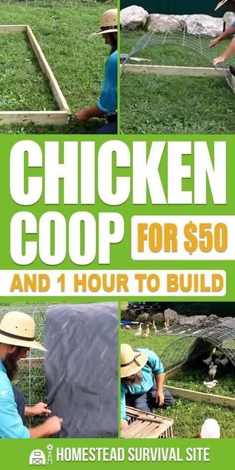 Permaculture, Build Your Own Chicken Coop Diy, How To Build A Simple Chicken Coop, Build Easy Chicken Coop, Diy Broiler Chicken Coop, Diy Chicken Coupe Easy, Diy Tiny Chicken Coop, Chicken House Ideas Diy Easy, Diy Silkie Chicken Coop