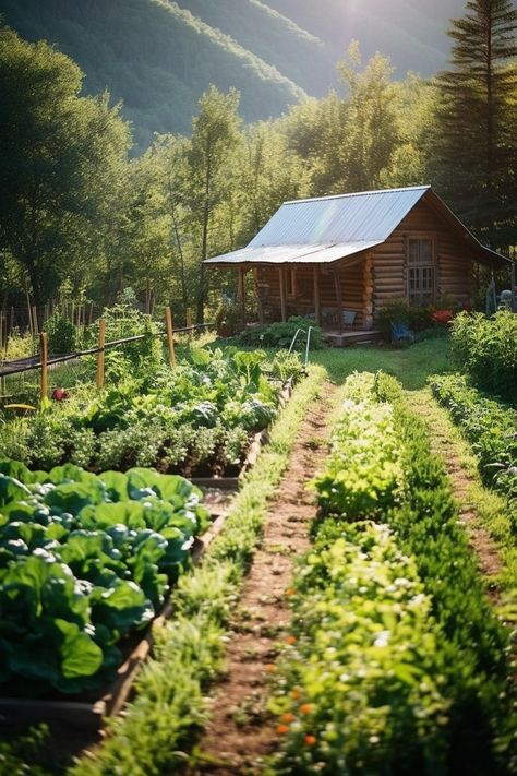 Off the grid. - Beautiful Log Cabin Tiny Cabins, Landscaping Around Patio, Witchy House, Log Cabin Living, Little Cabin In The Woods, Log Cabin Ideas, Cottage Cabin, Cabin Living, Little Cabin