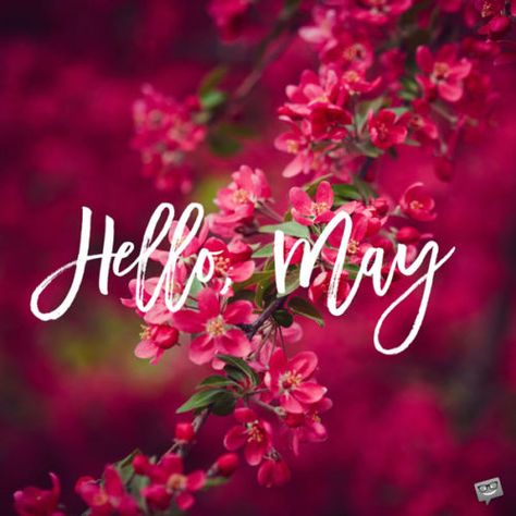 May Images, Hello May Quotes, Aesthetic Spring Wallpaper, Happy New Month Quotes, Wallpaper April, New Month Wishes, April Aesthetic, April Wallpaper, Neuer Monat