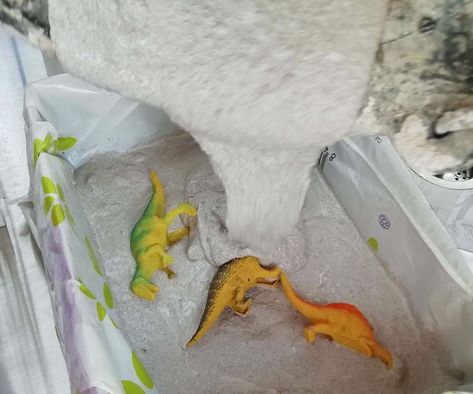 Diy Dino Excavation, Diy Excavating Fossil, Dinosaur Excavation Kit Diy, Diy Excavation Kit For Kids, Diy Excavation Kit, Jurassic Park Activities For Kids, Montessori Dinosaur, Diy Fossils, Dinosaur Excavation Kit