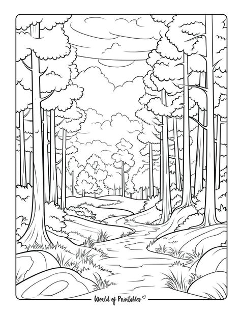 Forest Colouring Page, Forest Drawing Sketch, Forest Path Drawing, Forest Scenery Drawing, Forest Drawing Simple, Tree Drawing For Kids, Nature Coloring Pages, Landscape Coloring Pages, Fantasy Embroidery