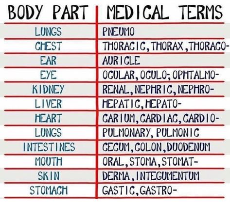 Medical Terms Nursing, Medical Terminology Study Tips, Medical Assistant School Supplies, Emt Basic Study Cheat Sheets, Stna Notes, Vtne Study Notes, Icd 10 Coding Cheat Sheet 2023, Emt School Aesthetic, Radiology Student Study Rad Tech