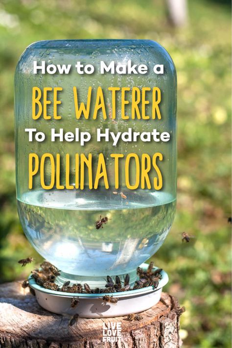 Bee Waterer, Water For Bees, Bee Facts, Diy Rocket, Backyard Bee, Bee Friendly Garden, Brick Patterns Patio, Bee Hotel, Backyard Beekeeping